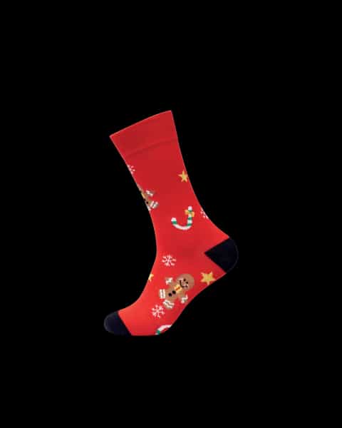 Pair of Christmas Socks