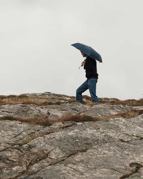 Luxury Umbrella