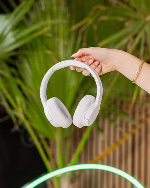 JBL Headphones