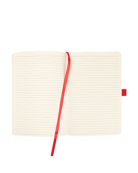 Soft Touch Journal