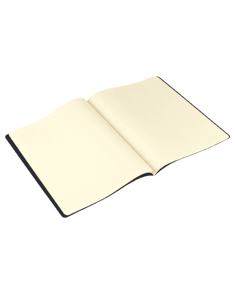 Moleskine Large Notebook