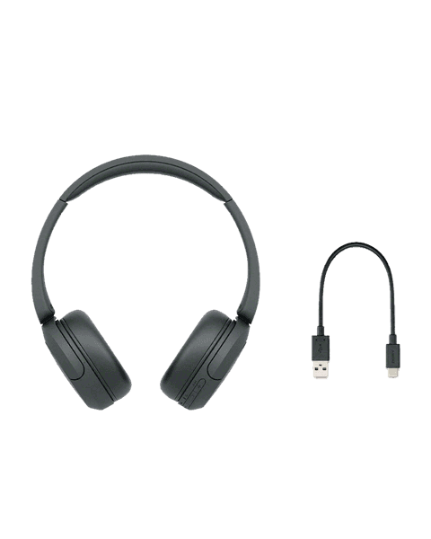 Sony Noise Canceling Headphones