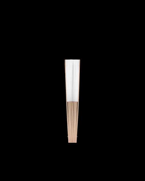 Hand Fan