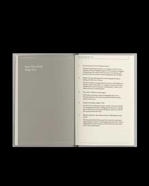 The Therapy Journal