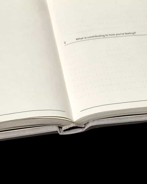 The Therapy Journal