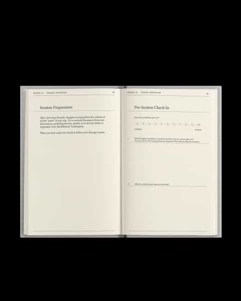 The Therapy Journal