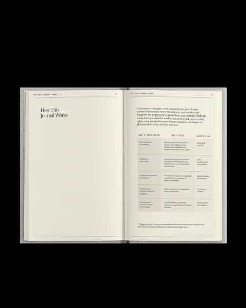 The Therapy Journal