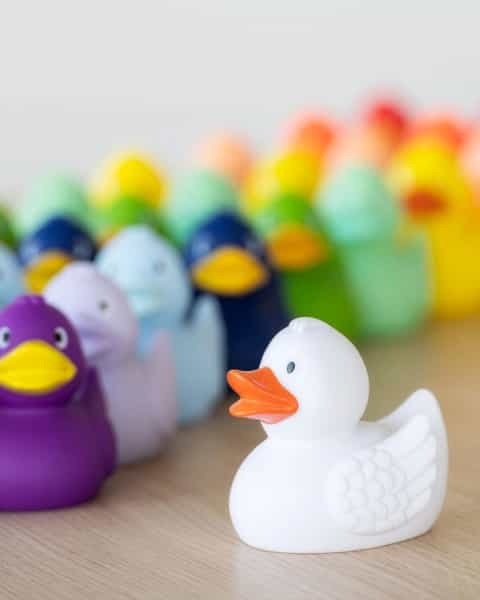 Bath Duck
