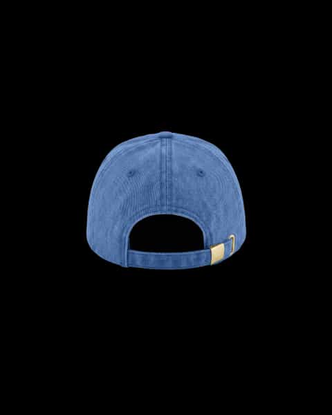 Express Vintage Unstructured 6 Panel Cap