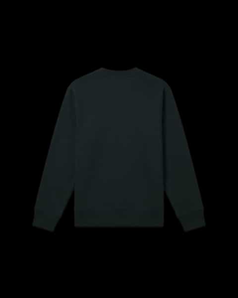 Express Sweatshirt