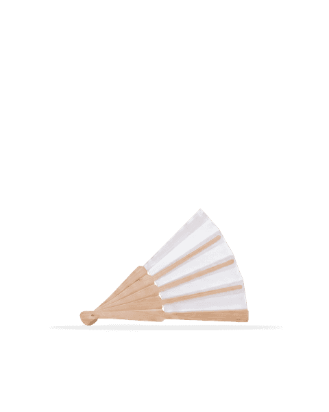 Hand Fan
