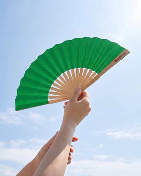Pride Wooden Fan