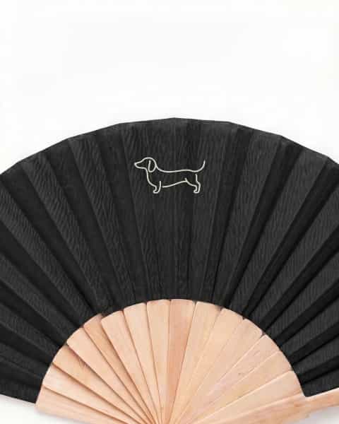 Pride Wooden Fan