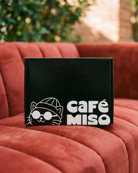 Meal Boxes