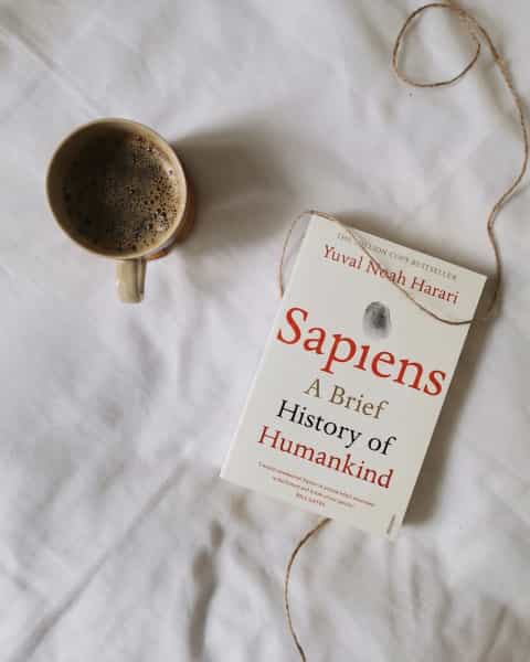 Sapiens: A Brief History of Humankind