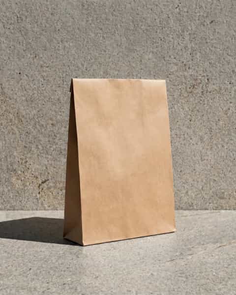 Plain Kraft Mailer Bag