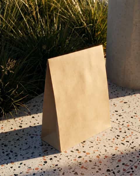 Plain Kraft Mailer Bag