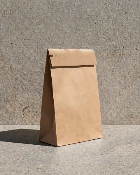 Plain Kraft Mailer Bag