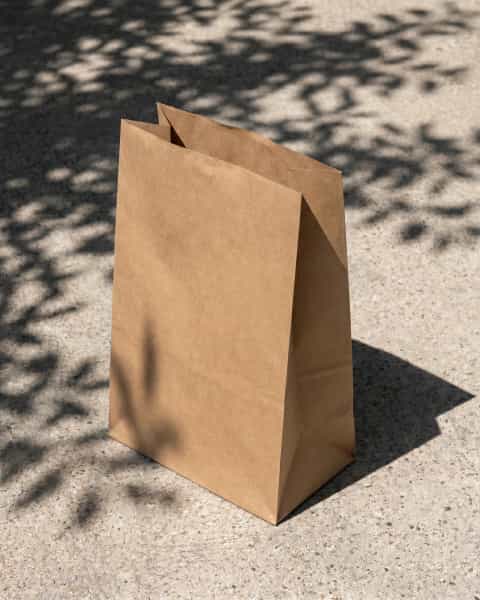 Plain Kraft Mailer Bag