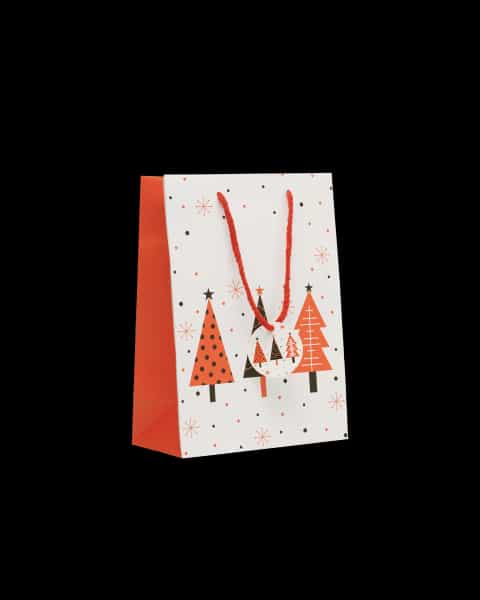 Gift paper bag medium