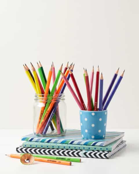 Stabilo Graphite Pencil