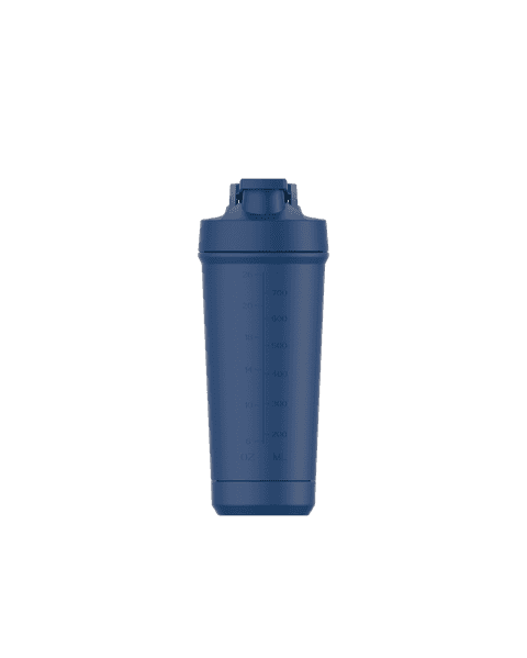 Stainless Steel 800 ml Shaker
