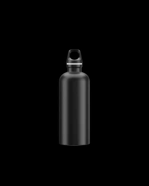 SIGG Traveller Bottle · 20 oz