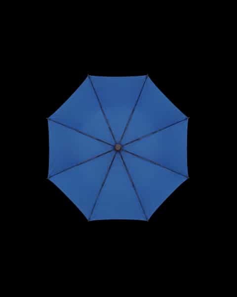 Auto Open Umbrella