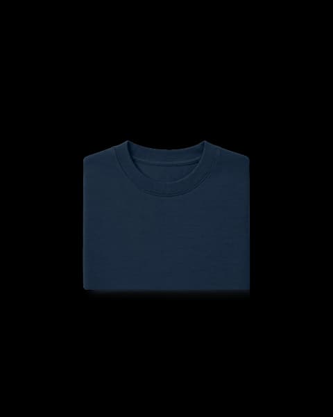 Premium Heavyweight Long Sleeve T-Shirt