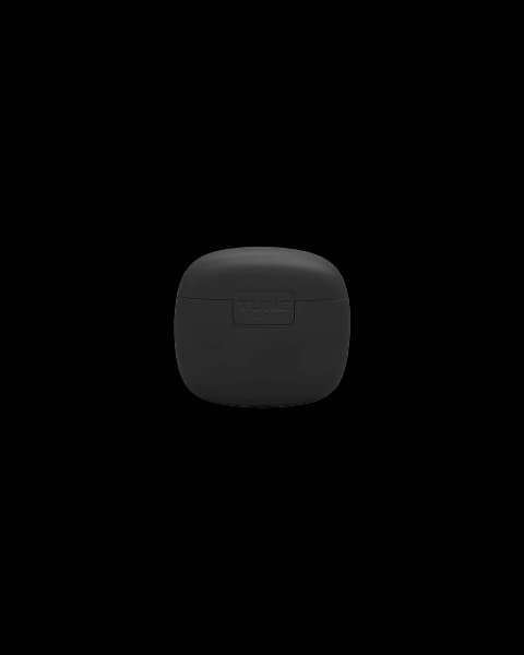 JBL Earplugs