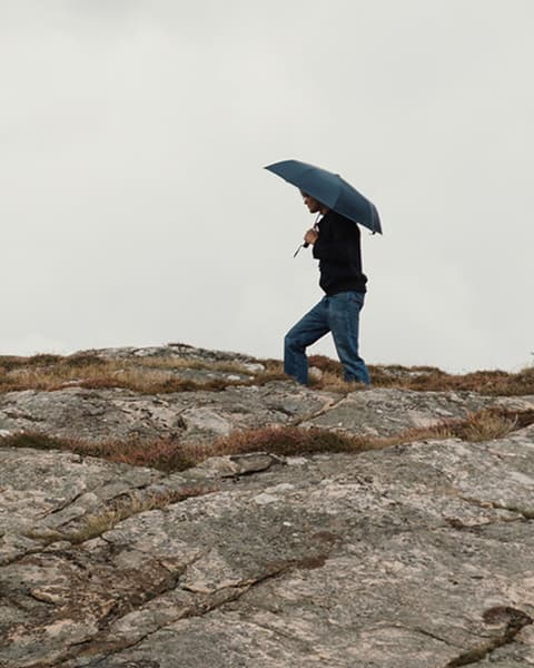Luxury Umbrella