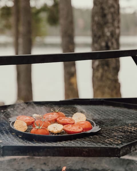 Grill Plate