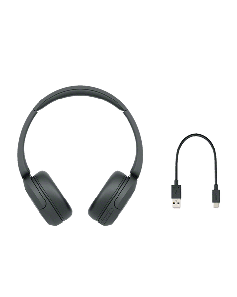 Sony Noise Canceling Headphones