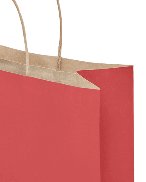 Large Paper Bag