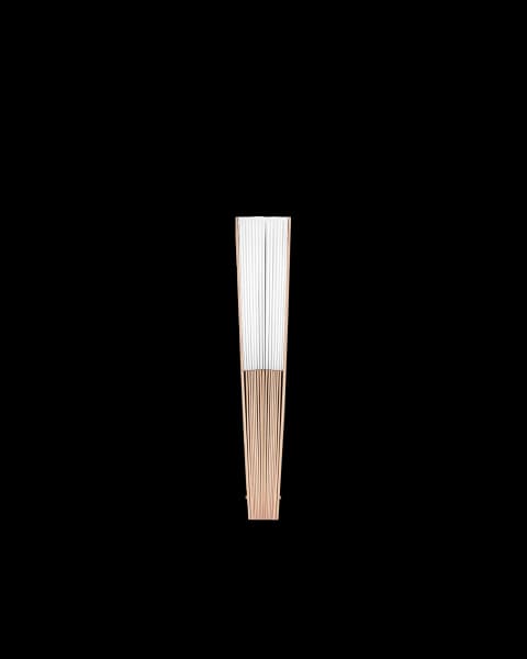 Hand Fan