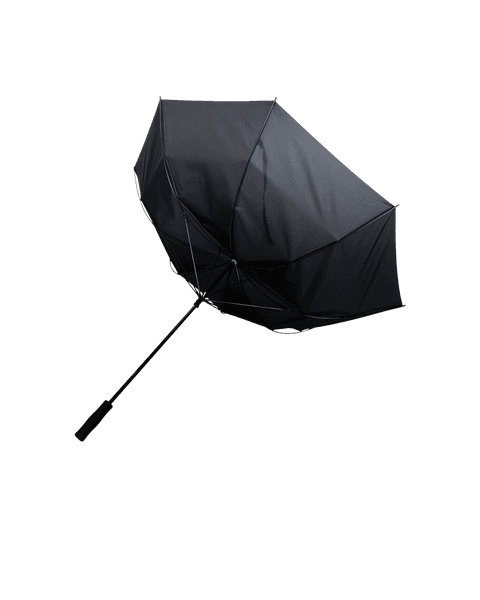 Storm Proof Umbrella