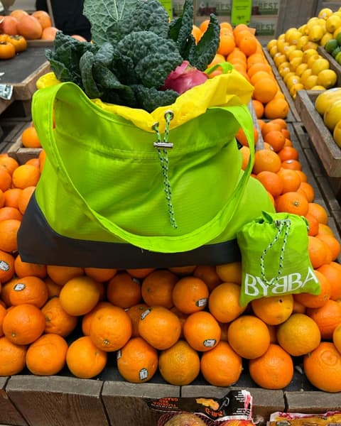 Bybba Fits Everything Bag