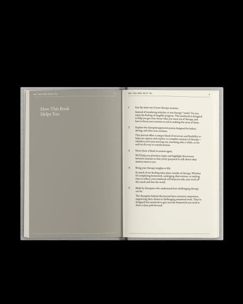 The Therapy Journal