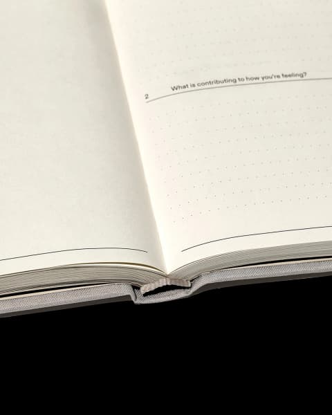 The Therapy Journal