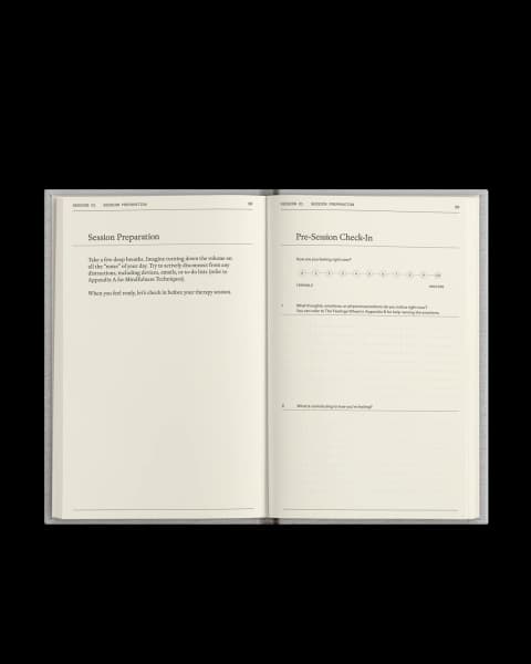 The Therapy Journal