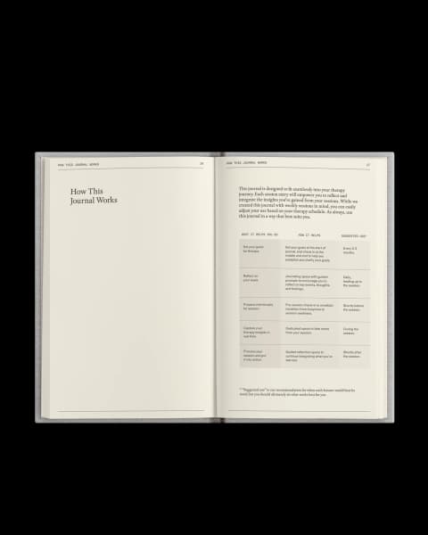 The Therapy Journal