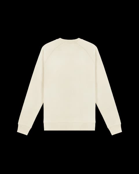 Raglan Sweatshirt