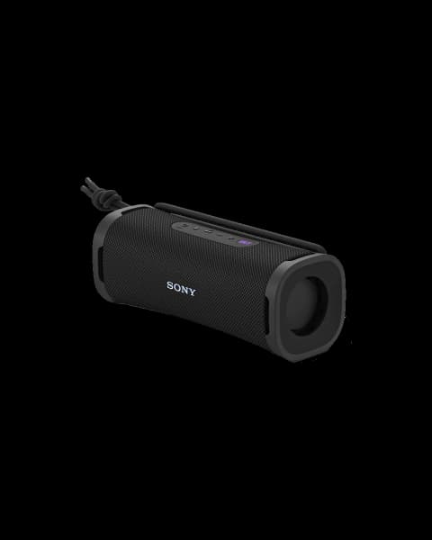 Sony Portable Speaker