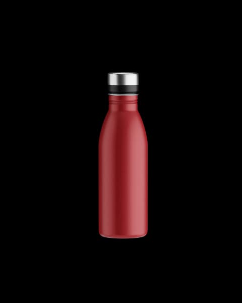 Silver Cap Bottle · 500 ml