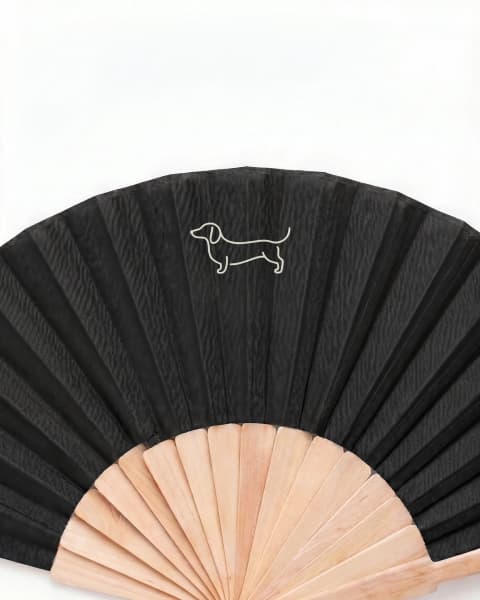 Pride Wooden Fan