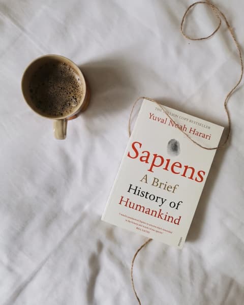 Sapiens: A Brief History of Humankind