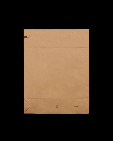 Plain Kraft Mailer Bag