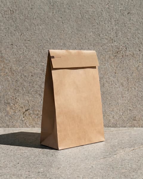 Plain Kraft Mailer Bag