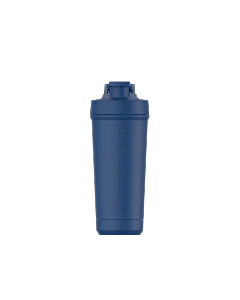 Stainless Steel 800 ml Shaker