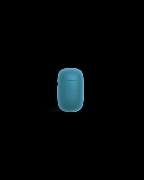 JBL Earbuds